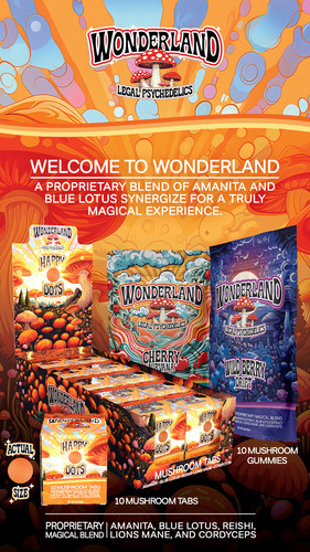 wonderland mushroom gummies | wonderland Happy Dot Mushroom Tab | wonderland gummies